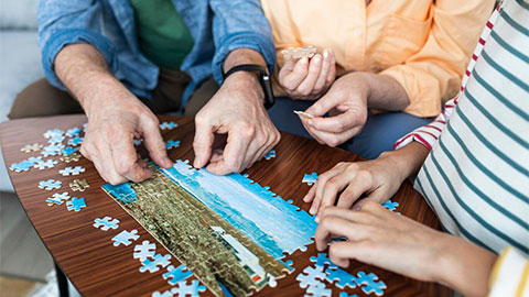 Puzzles y rompecabezas