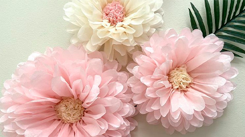 Paper Flowers