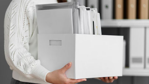 Folders & Organisation